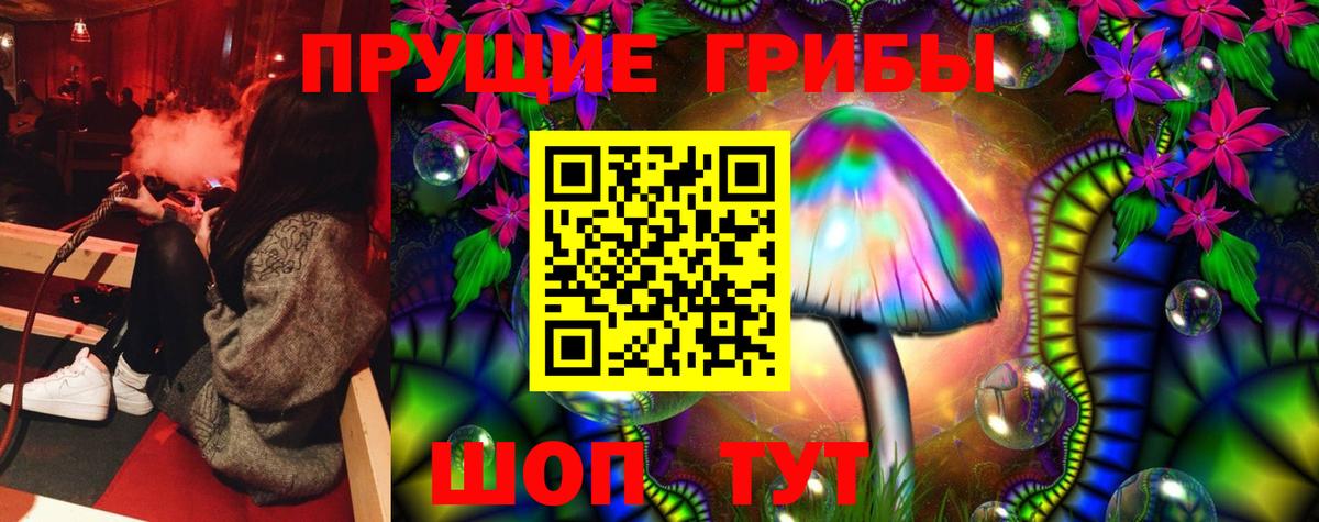 Псилоцибиновые грибы MAGIC MUSHROOMS  как найти закладки  Волхов  Вход с VPN 